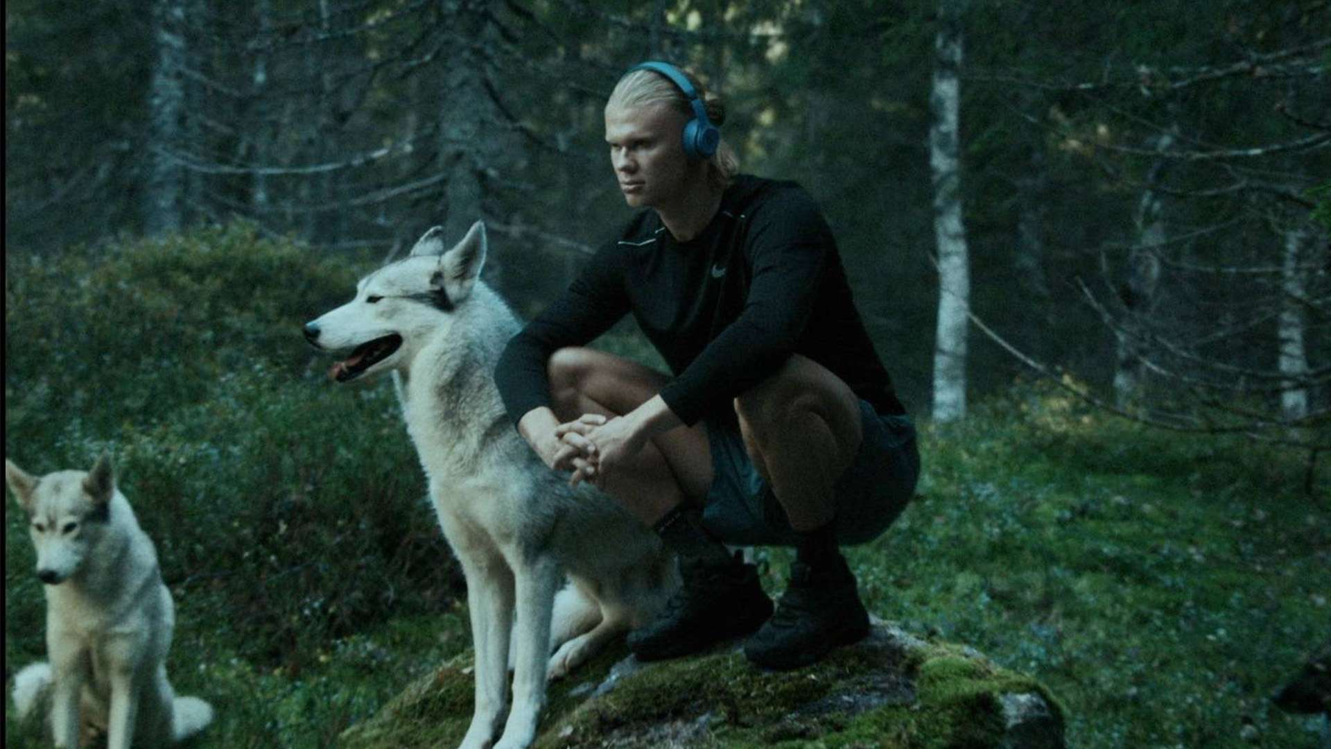 许多顶级选 许多顶级选